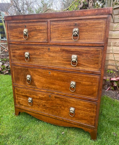 Small Regency Chest of Drawers