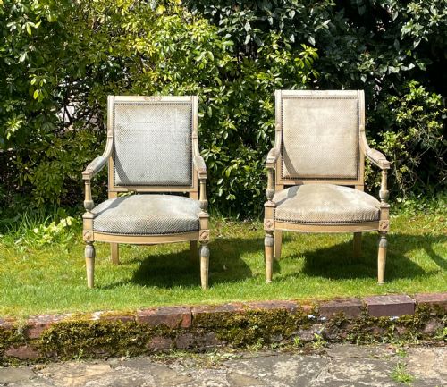 A Pair of Directoire Style Armchairs