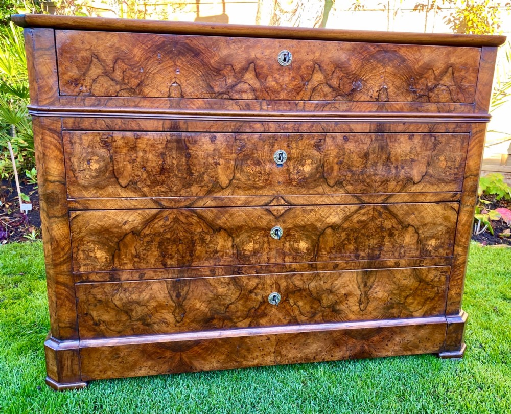 Burr walnut commode  View IV