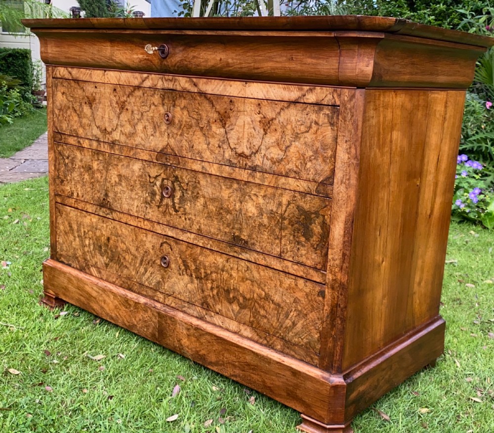 Burr walnut commode  View II