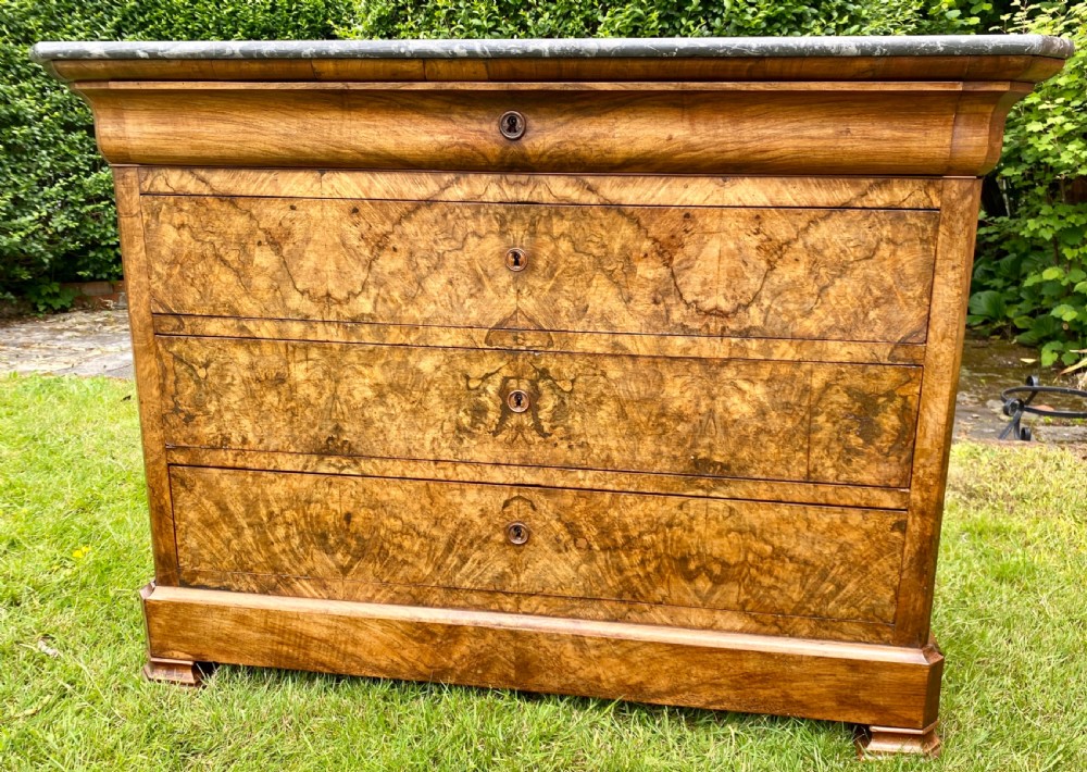 Burr walnut commode  View IX