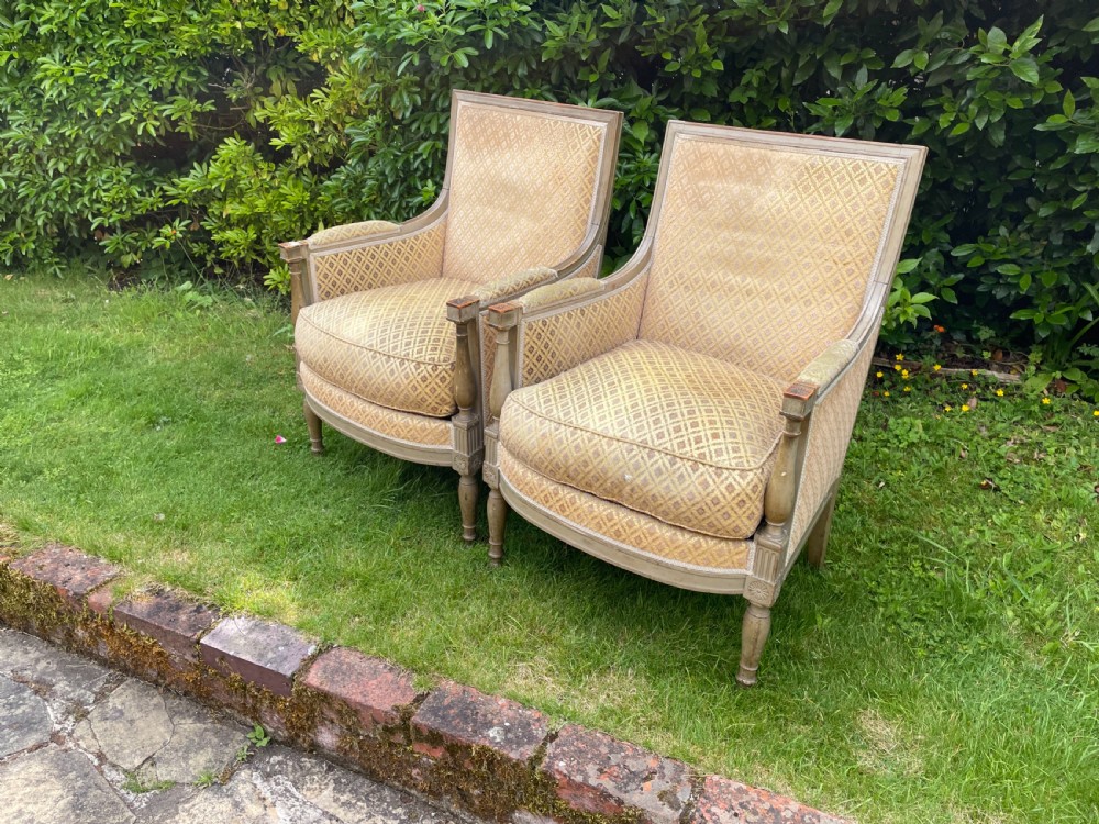 Pair of French Directoire Style Armchairs View IV