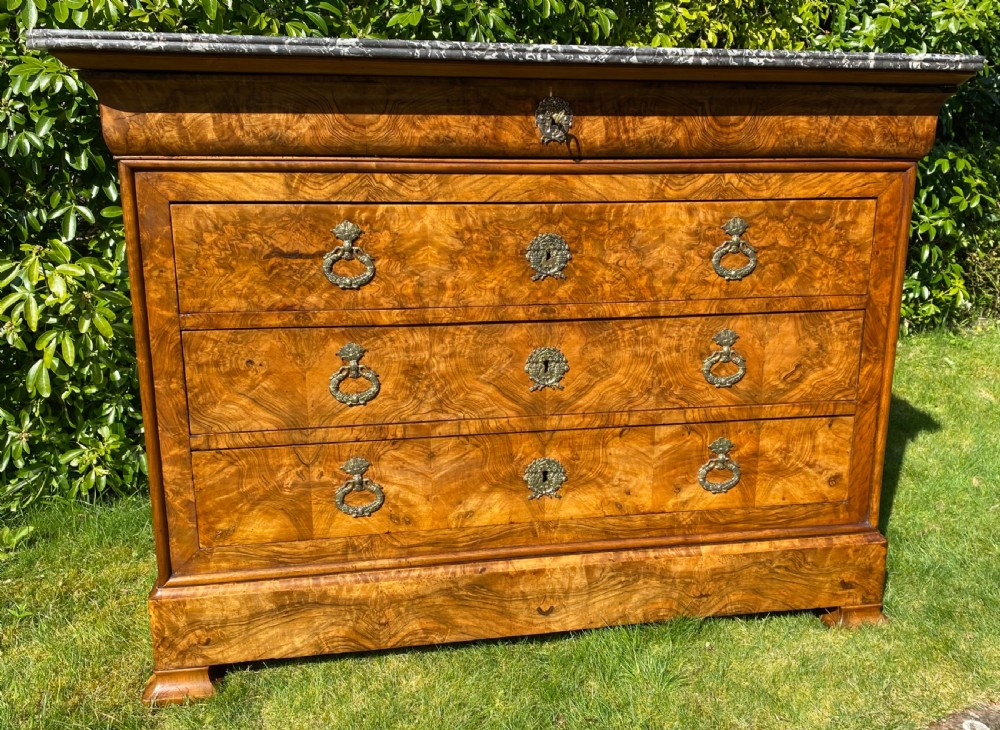 French burr walnut commode  View IV