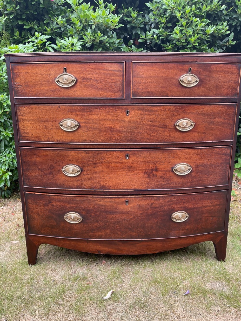 19th Century Mahogany Bow Front  Chest of Drawers  View VI