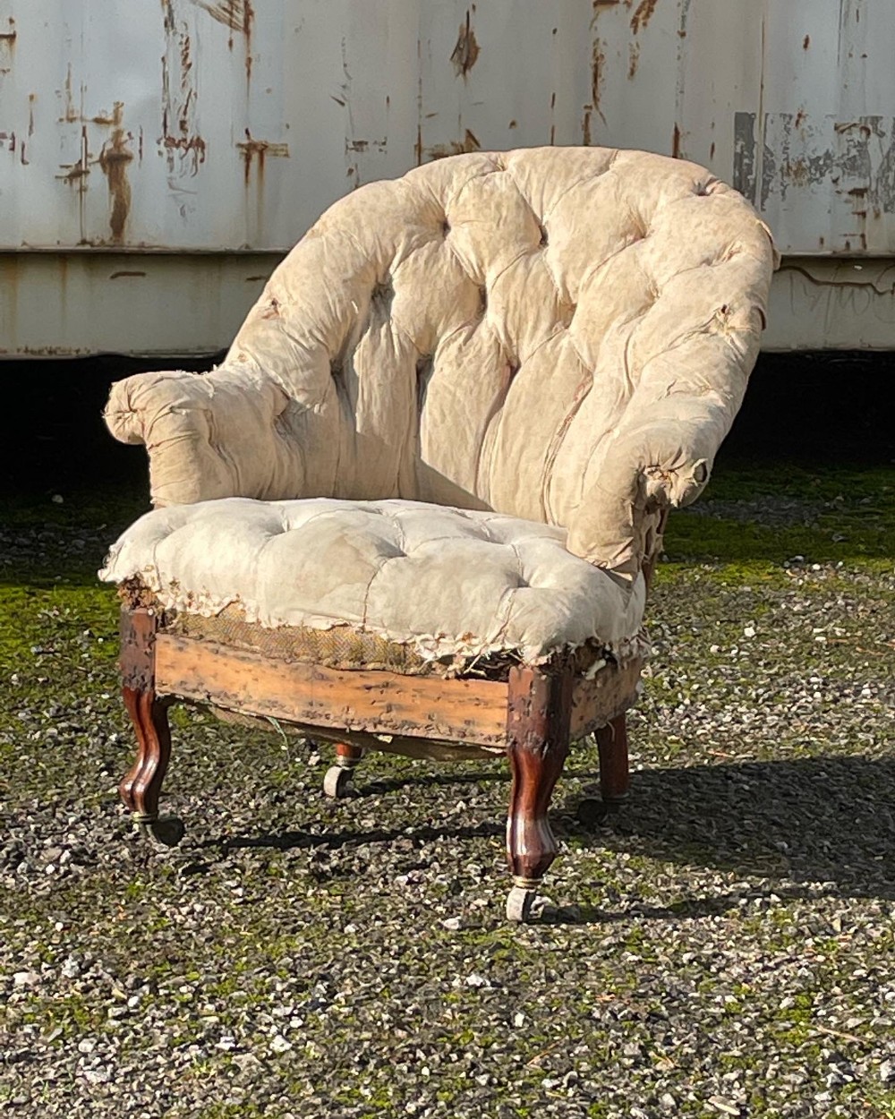 Napoleon iii Childs Crappaud 