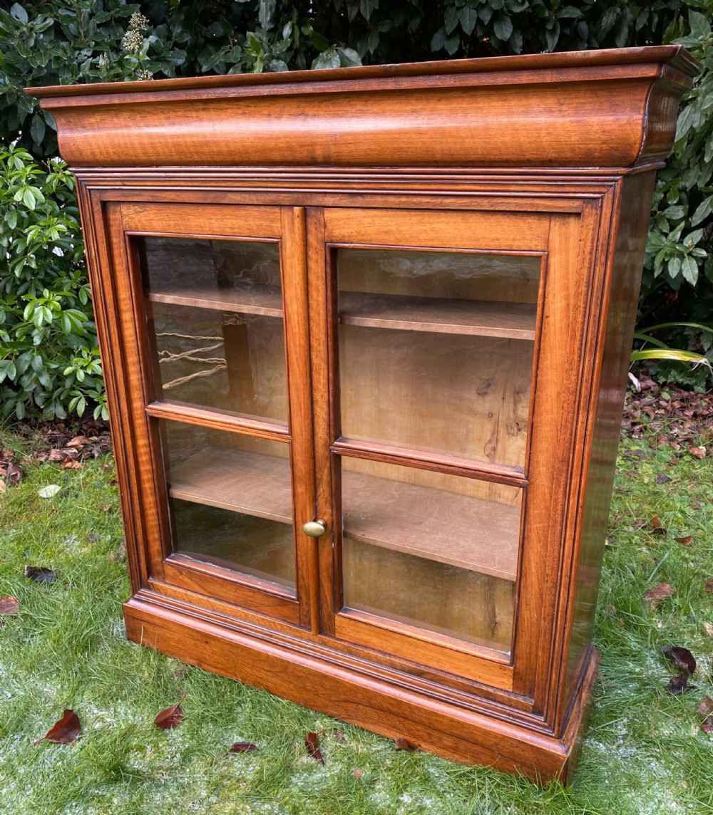 Glazed walnut cabinet  View V
