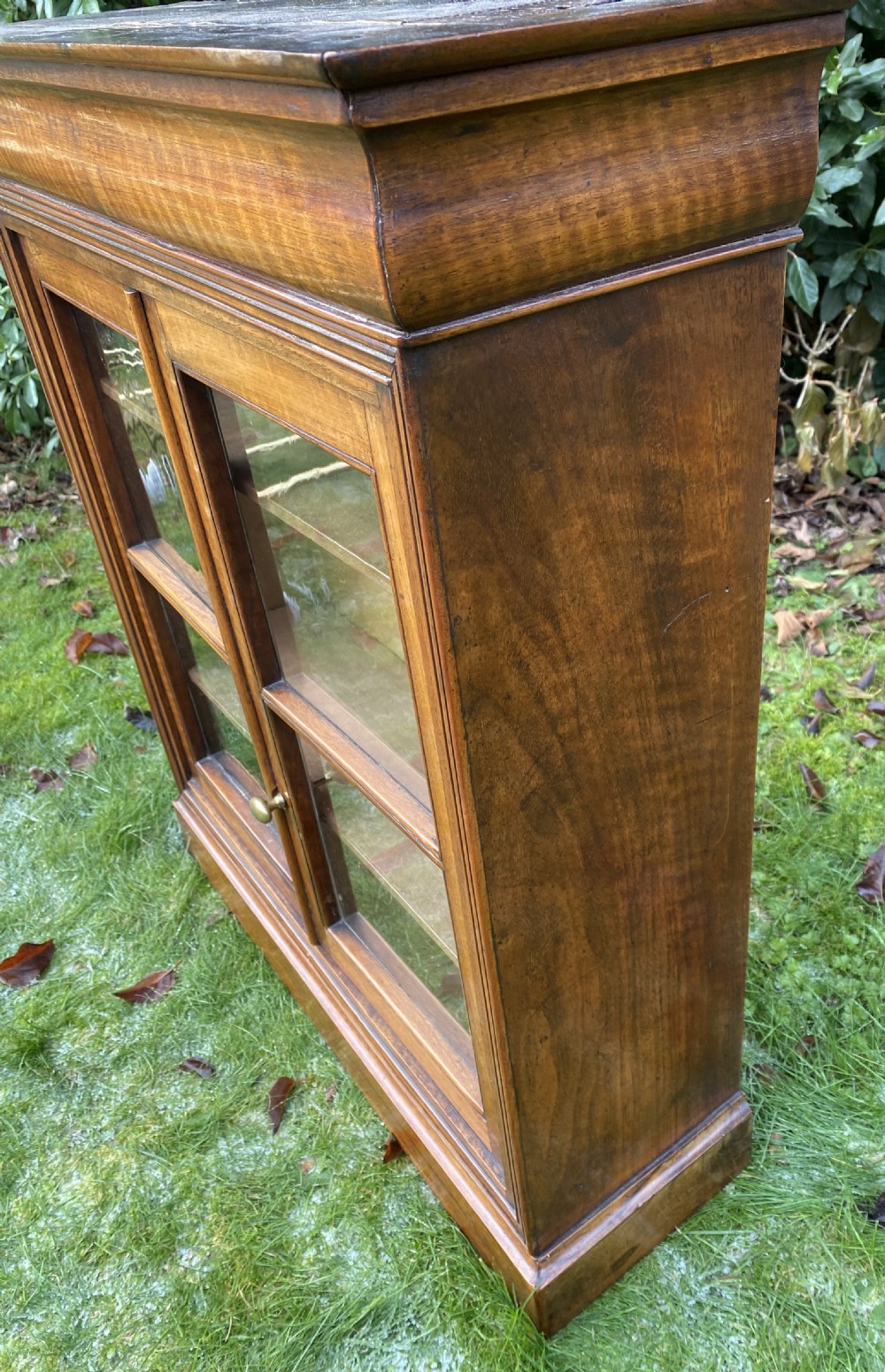 Glazed walnut cabinet  View VI