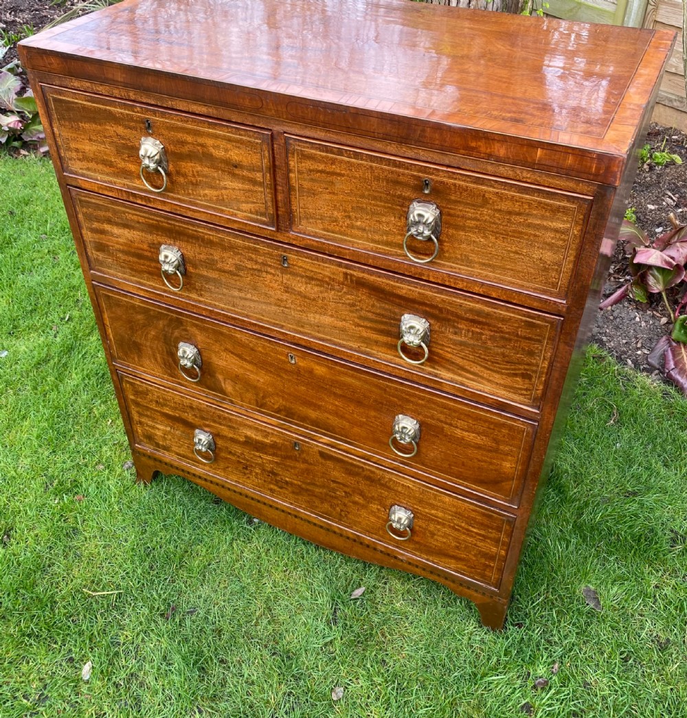 Small Regency chest of drawers  View II