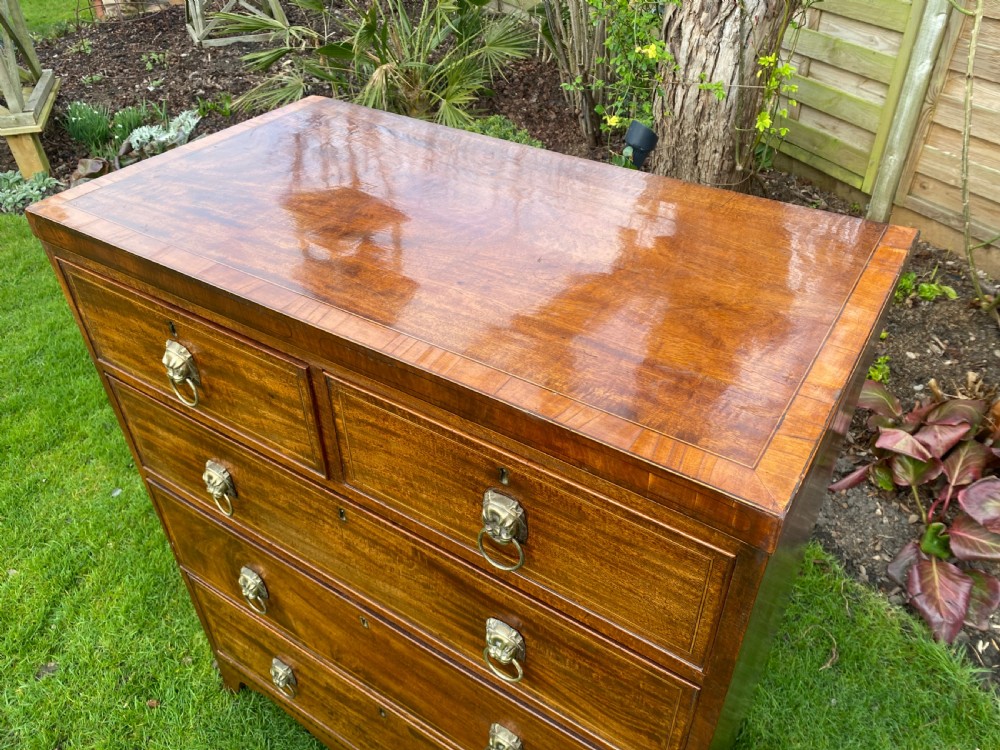 Small Regency chest of drawers  View IV