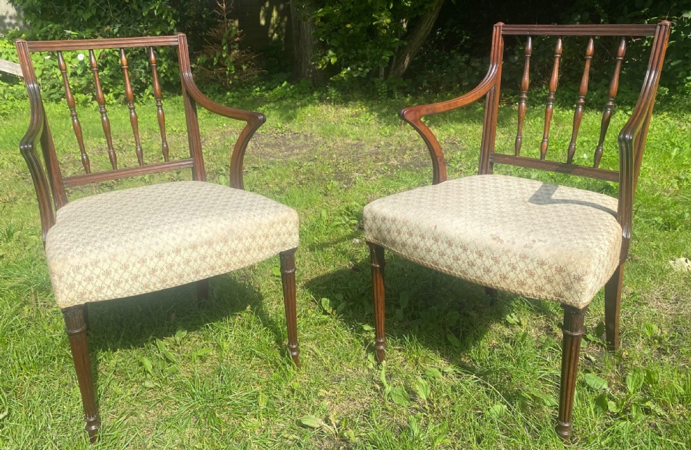 Pair of Sheraton armchairs 