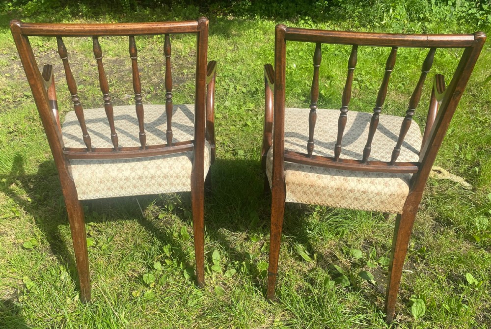 Pair of Sheraton armchairs  View IV
