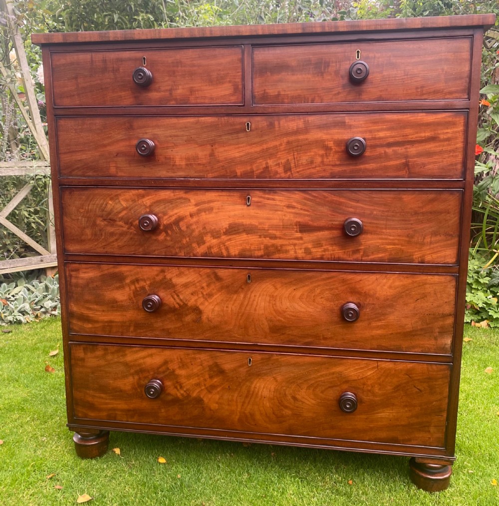 Large flame mahogany chest of drawers  View II