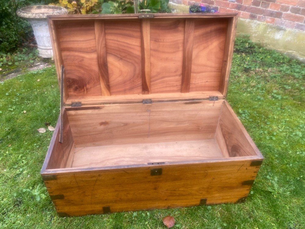 Large  Camphorwood trunk View IV