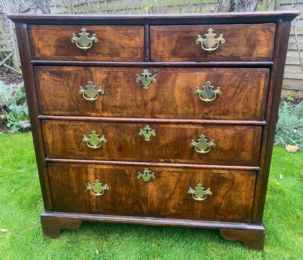 Early 18th century chest in burr walnut and oak 