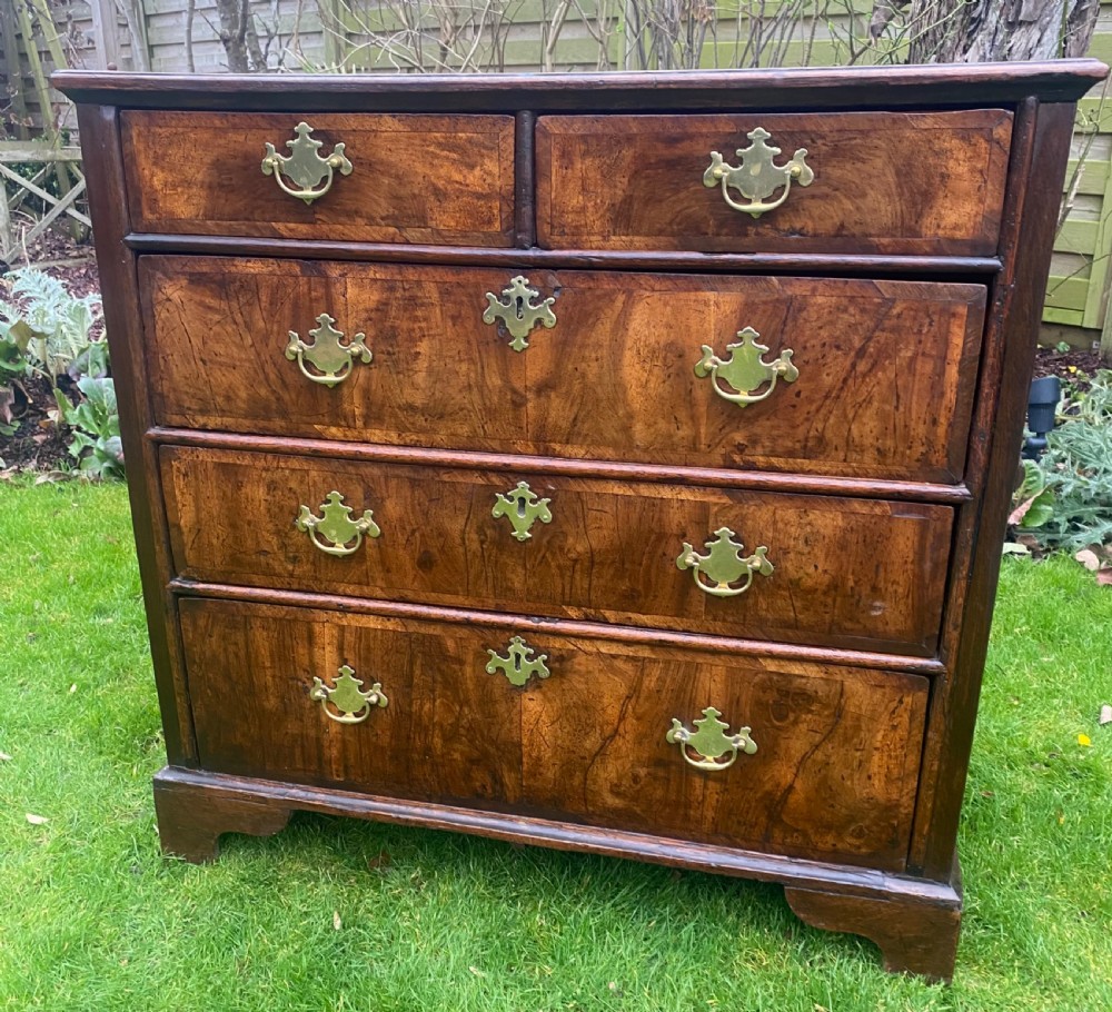 Early 18th century chest in burr walnut and oak  View IV