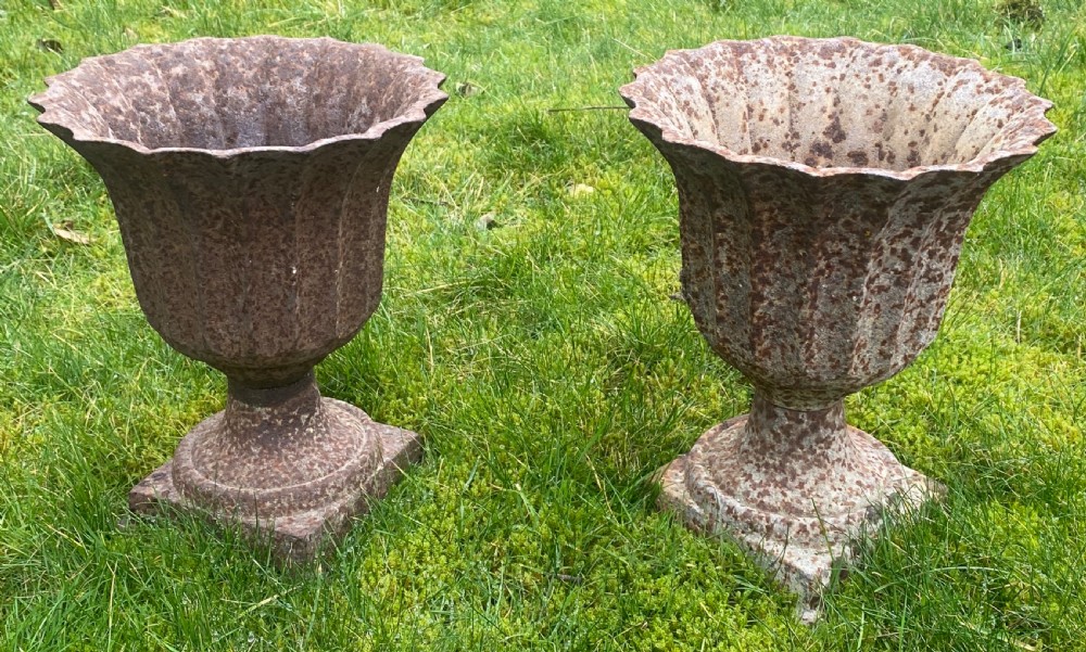 Pair of 19th Century cast iron garden urns