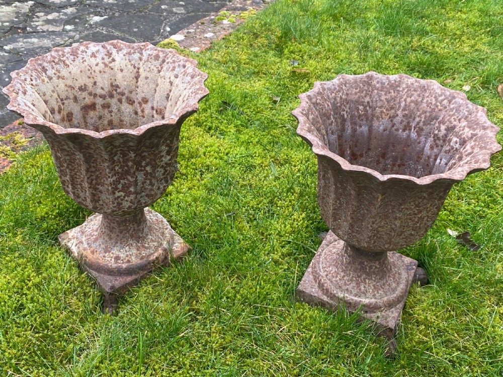 Pair of 19th Century cast iron garden urns View III