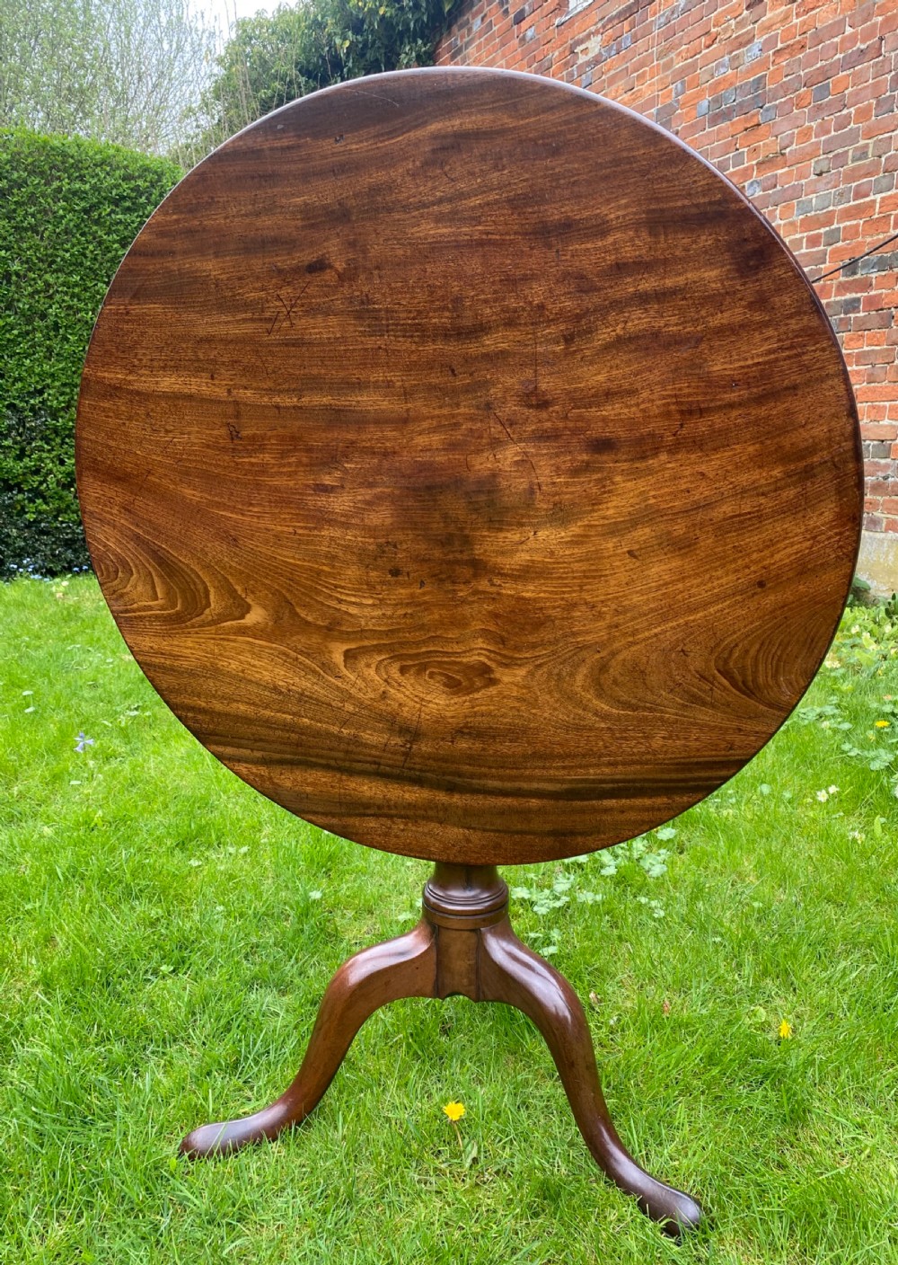 18th Century Cuban Mahogany tripod table View III
