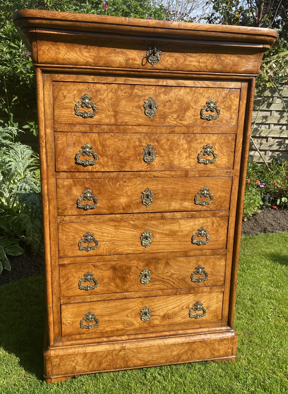 Tall chest or Semainier in burr ash