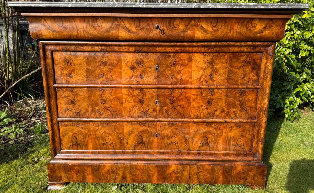 Burr walnut commode 