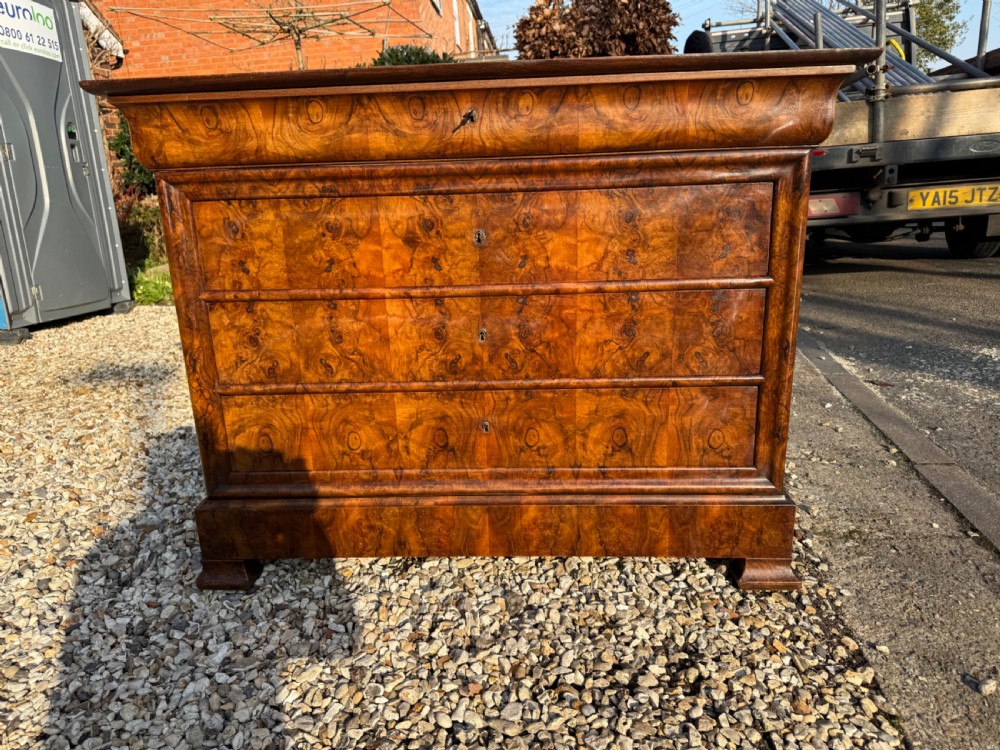 Burr walnut commode  View IV