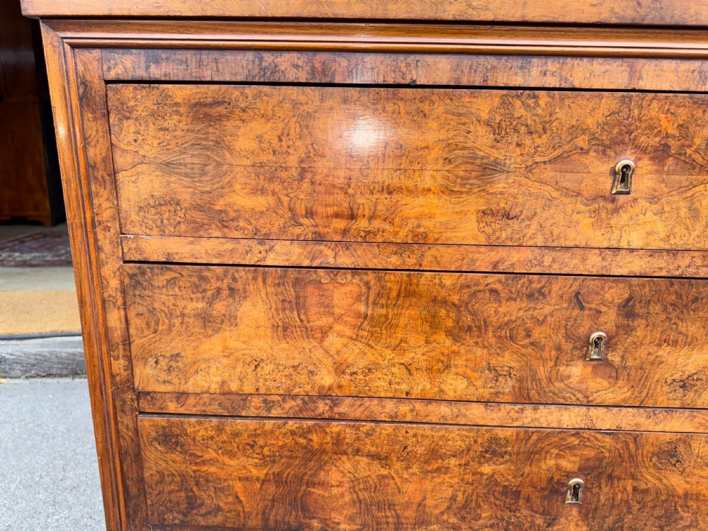 Louis Philippe Commode in burr walnut . View VII