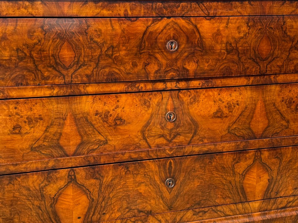 Burr walnut Louis Philippe Commode  View III