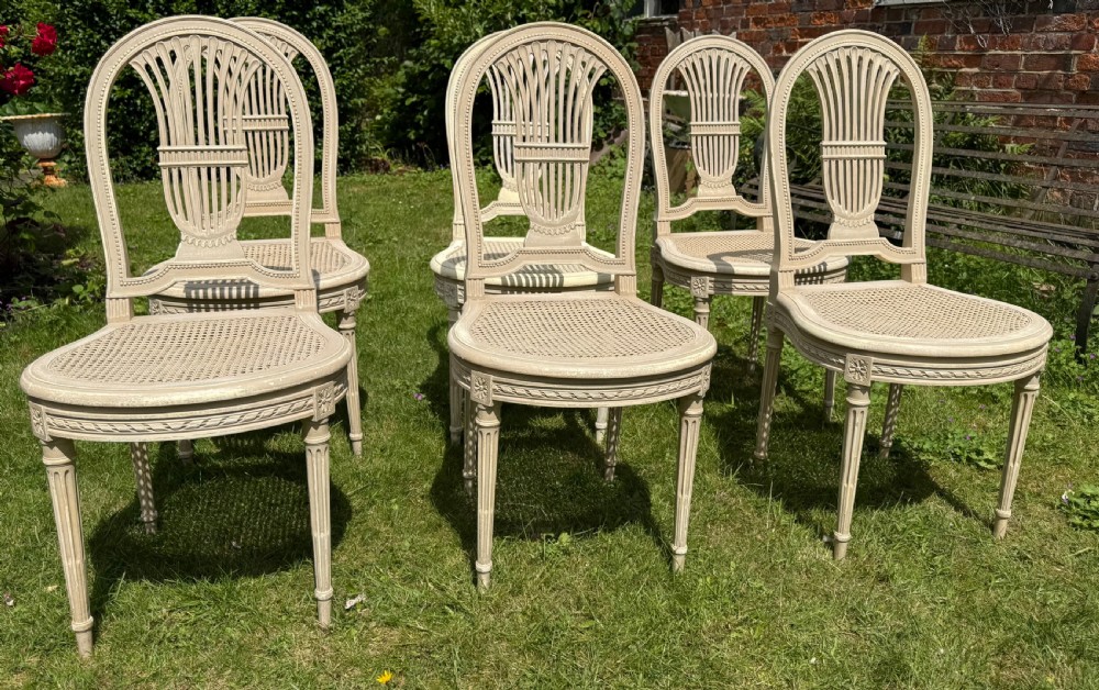 Set of six caned dinings chairs in old paint 