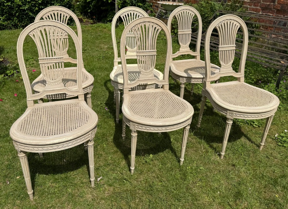 Set of six caned dinings chairs in old paint  View VII