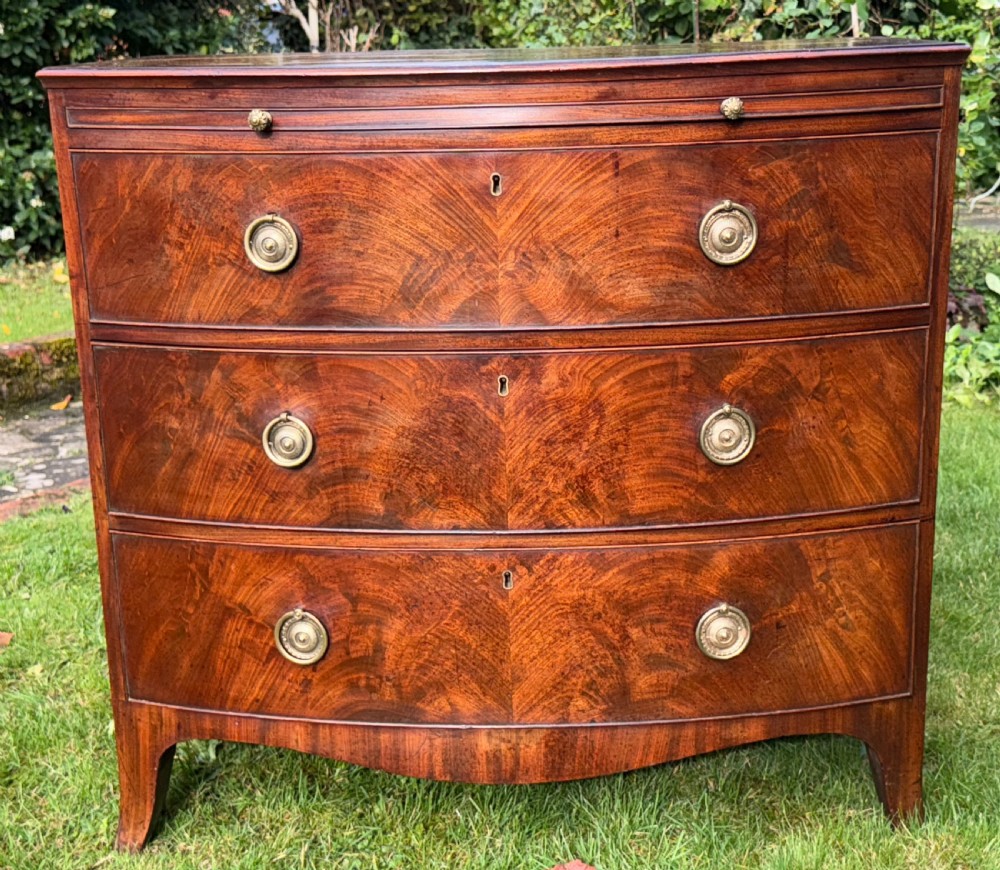 Small Regency Bow fronted chest of drawers View VI