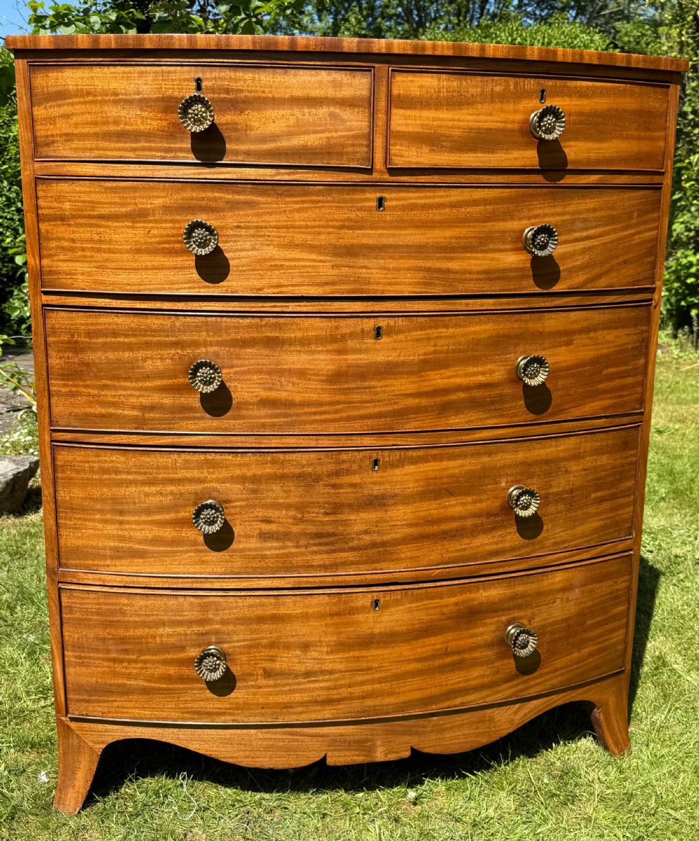 A tall Regency bow fronted chest of drawers 
