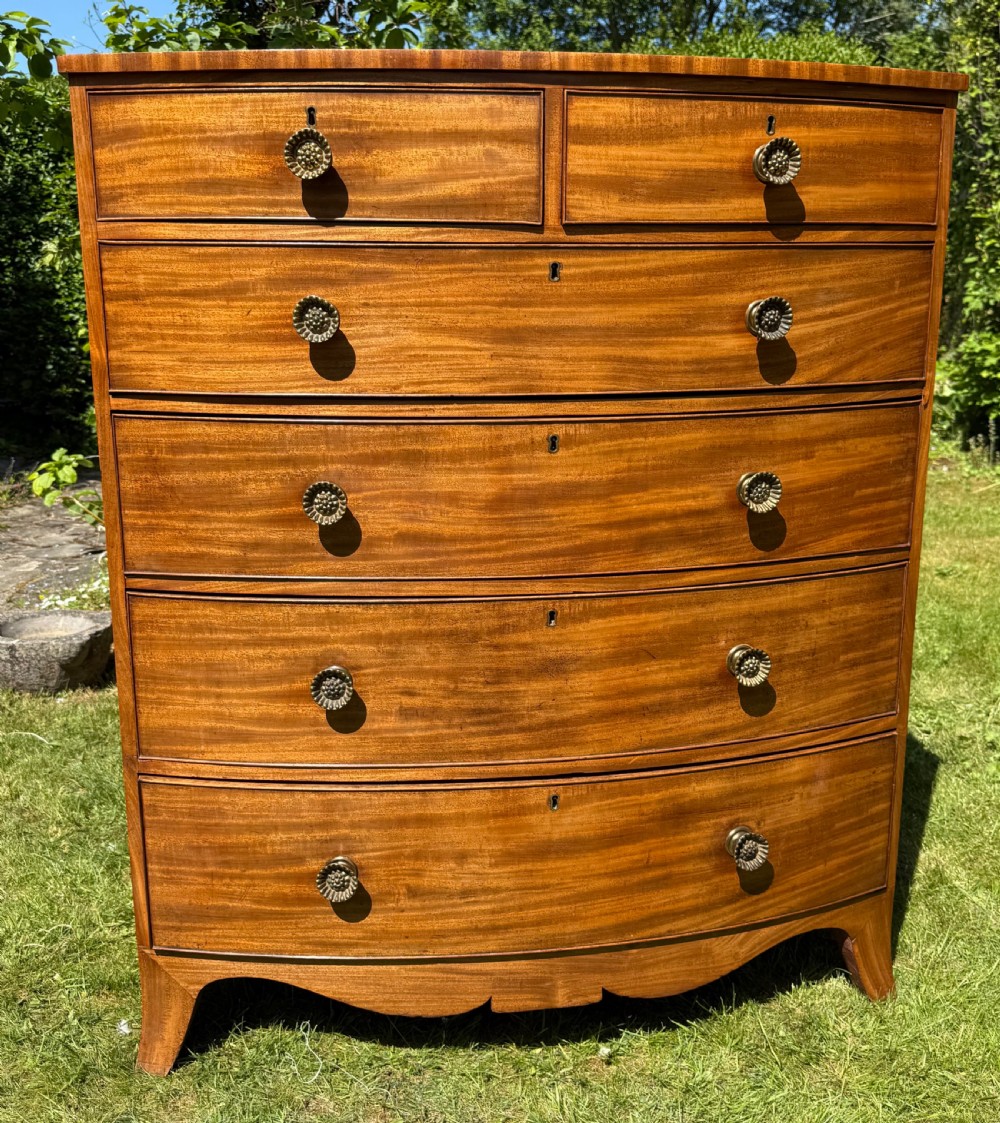 A tall Regency bow fronted chest of drawers  View II