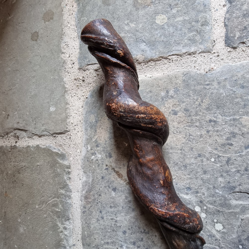 A 19th century Irish Shillelagh View II