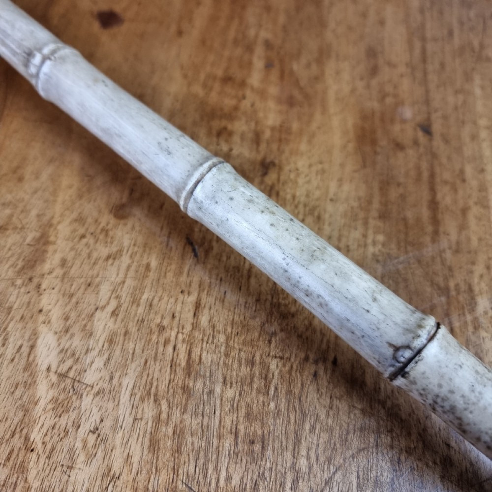 A 19th century bone walking cane. View V