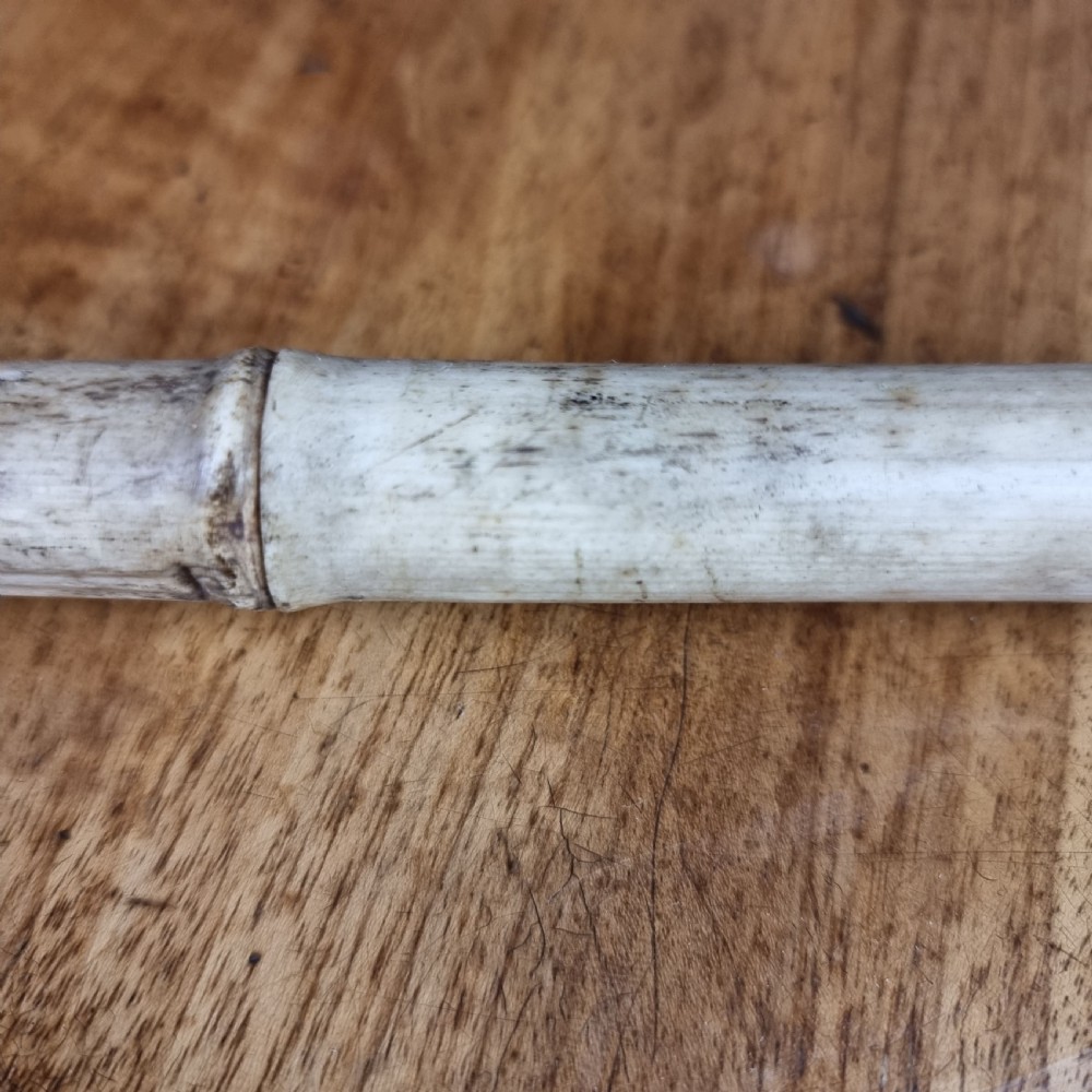 A 19th century bone walking cane. View IX