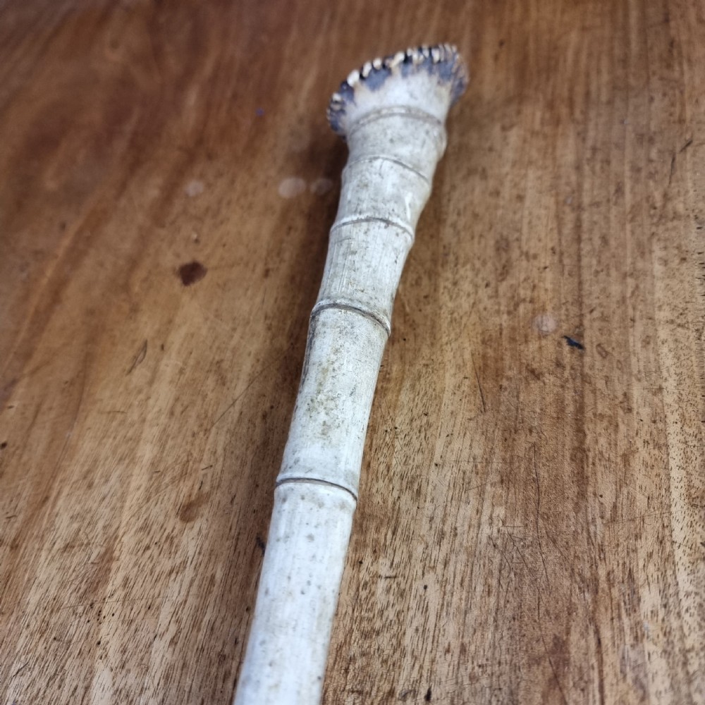A 19th century bone walking cane. View XI