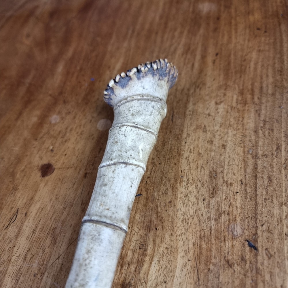 A 19th century bone walking cane. View XII