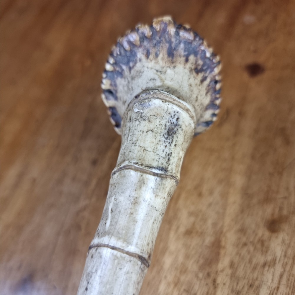 A 19th century bone walking cane. View XIII