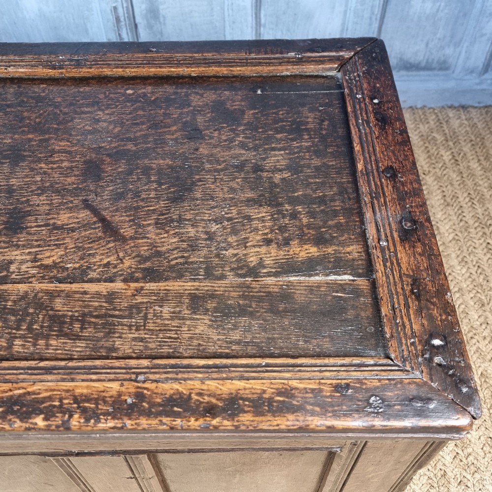 A late Elizabethan dark oak coffer with a rectangular hinged lid, iron lockplate, and panelled front facade. View IV
