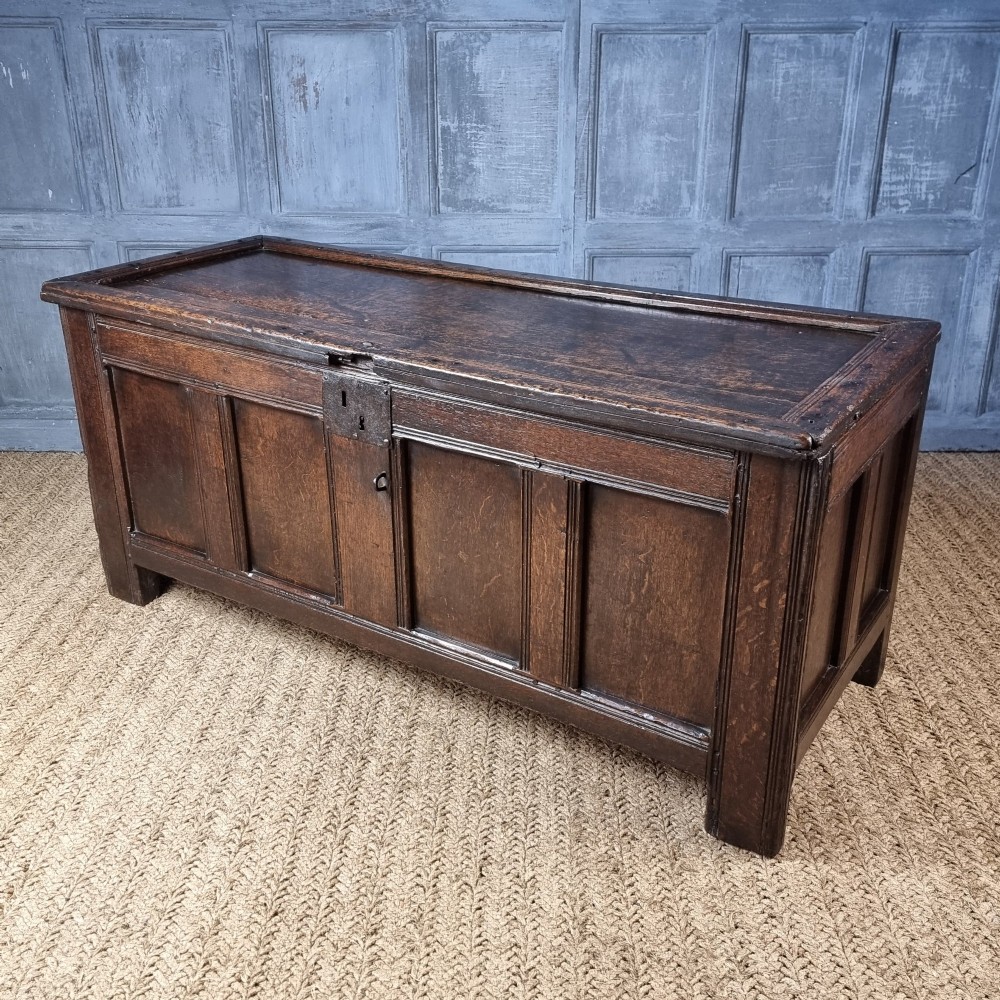 A late Elizabethan dark oak coffer with a rectangular hinged lid, iron lockplate, and panelled front facade. View VII
