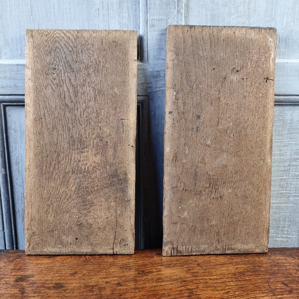 A pair of rectangular dark oak panels featuring traditional hand-carved linenfold relief designs with visible wood grain. View V