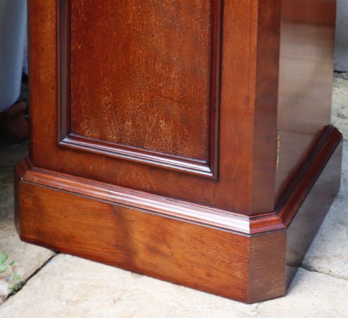 ANTIQUE MAHOGANY SINGLE DOOR CUPBOARD - ADDITIONAL PHOTO 3
