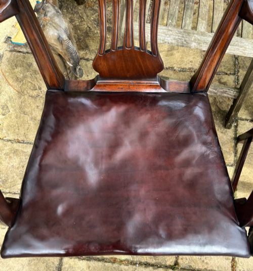 PAIR OF HEPPLEWHITE STYLE MAHOGANY HOOP BACK CHAIRS - ADDITIONAL PHOTO 5