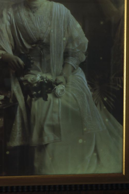 PHOTOGRAPHY - ADDITIONAL PHOTO 3