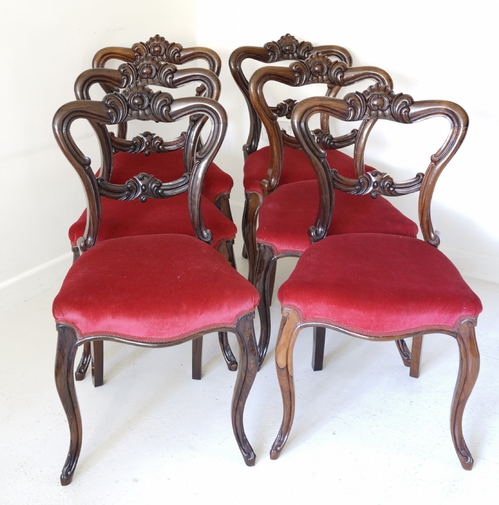 Set of six Victorian solid rosewood dining chairs with finely carved detail supported