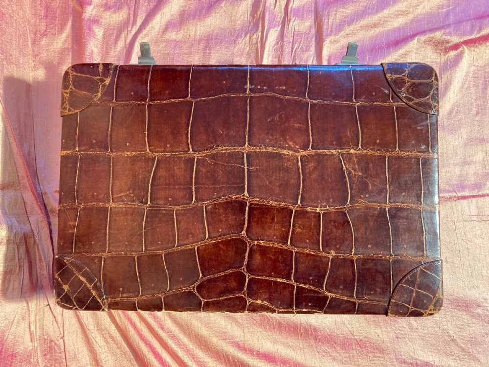 Crocodile travelling suitcase View VI