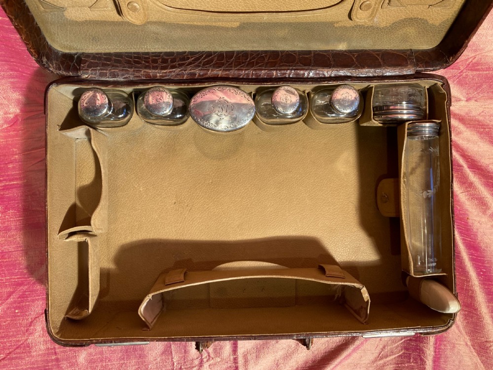 Crocodile travelling suitcase View XV