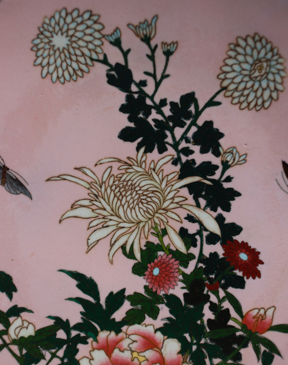 Antique Cloisonne plate. View IV
