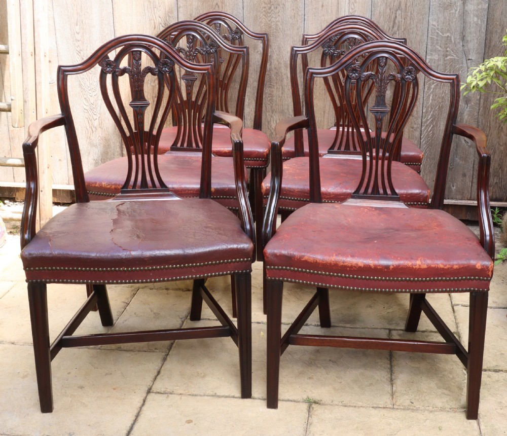 A set of carved mahogany Hepplewhite dining chairs featuring shield-shaped backs, carved wheat splats, and brass-studded red leather seats.