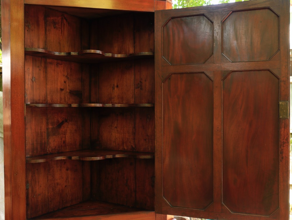 A tall, free-standing antique mahogany corner cupboard featuring two stacked panel doors decorated with carved corner details and top dentil moulding. View IV